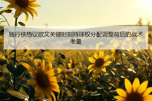 独行侠热议欧文关键时刻持球权分配调整背后的战术考量